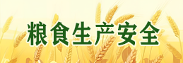 糧食生產安全
